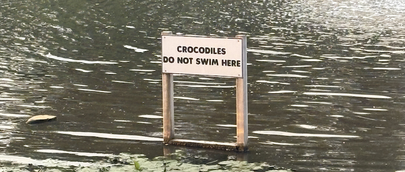 Crocodiles Do Not Swim Here
